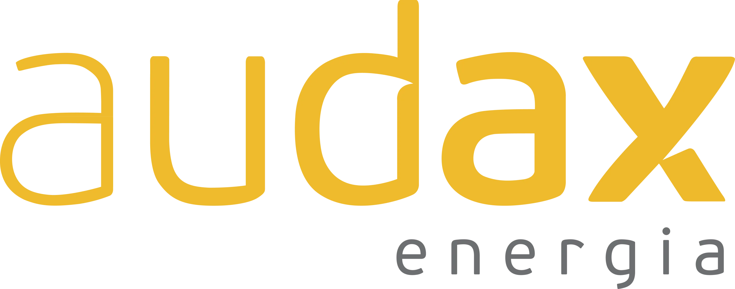 logo-audax